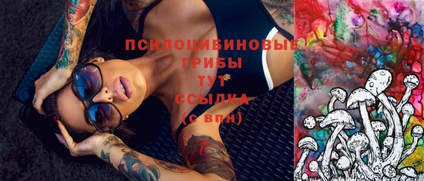 первитин Краснослободск