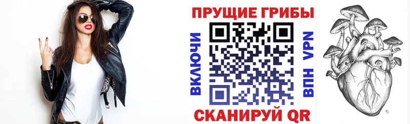 Псилоцибиновые грибы Psilocybine cubensis  Купить  Ветлуга 
